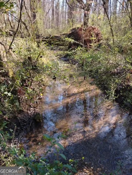 2331 Kesler RD Carnesville, GA 30521