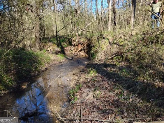 2331 Kesler RD Carnesville, GA 30521