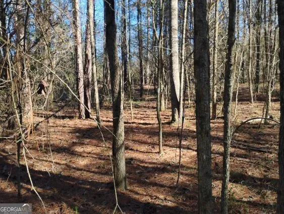 2331 Kesler RD Carnesville, GA 30521