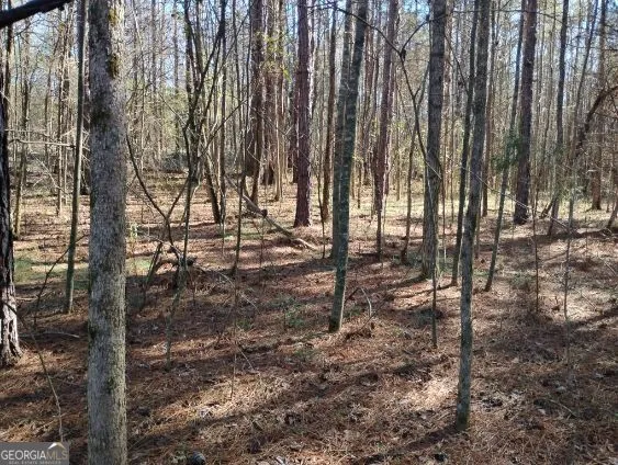 2331 Kesler RD Carnesville, GA 30521