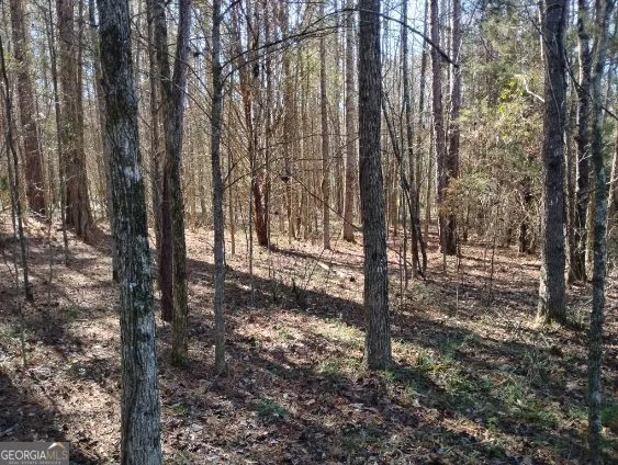2331 Kesler RD Carnesville, GA 30521