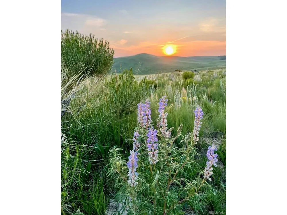 5200 Electric Avenue Westcliffe, CO 81252