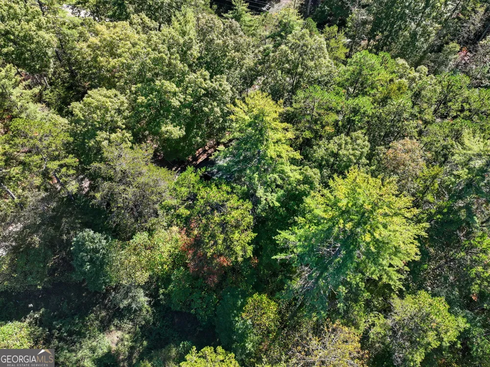 25 Foster LN Morganton, GA 30560