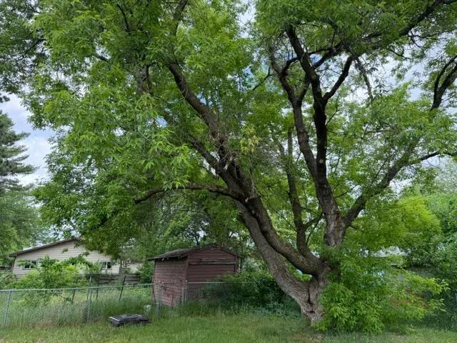 407 Lake Avenue Park Rapids, MN 56470