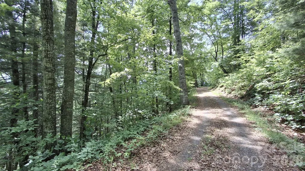112 Kako Ridge #59 Sylva, NC 28779