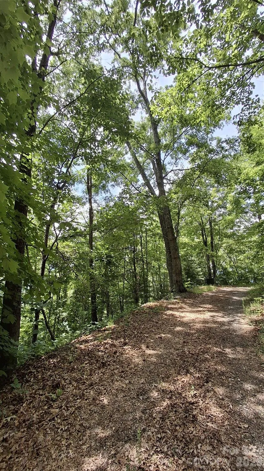 112 Kako Ridge #59 Sylva, NC 28779