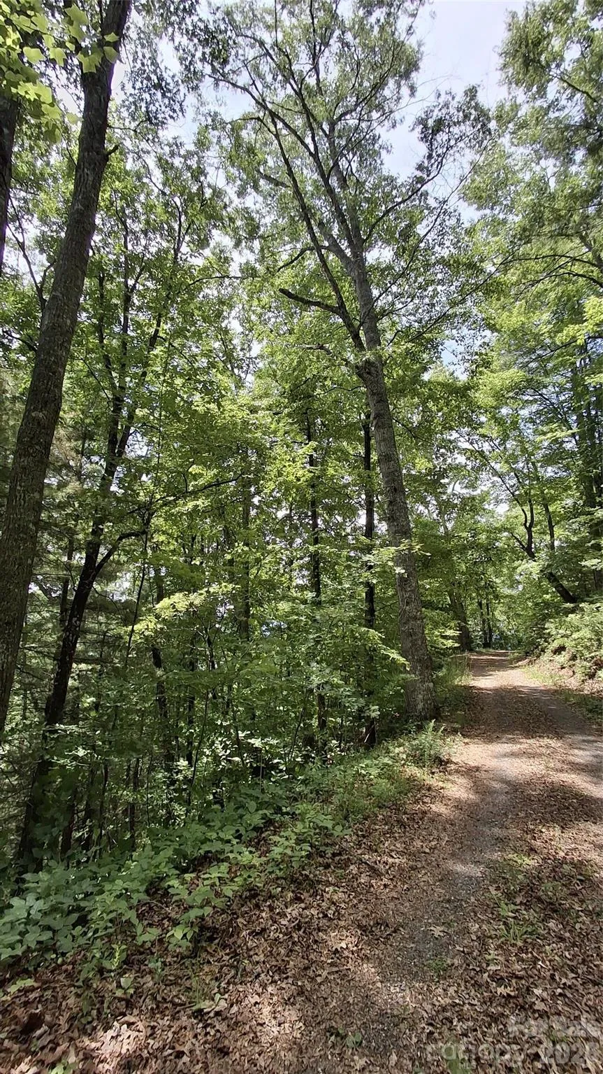 112 Kako Ridge #59 Sylva, NC 28779