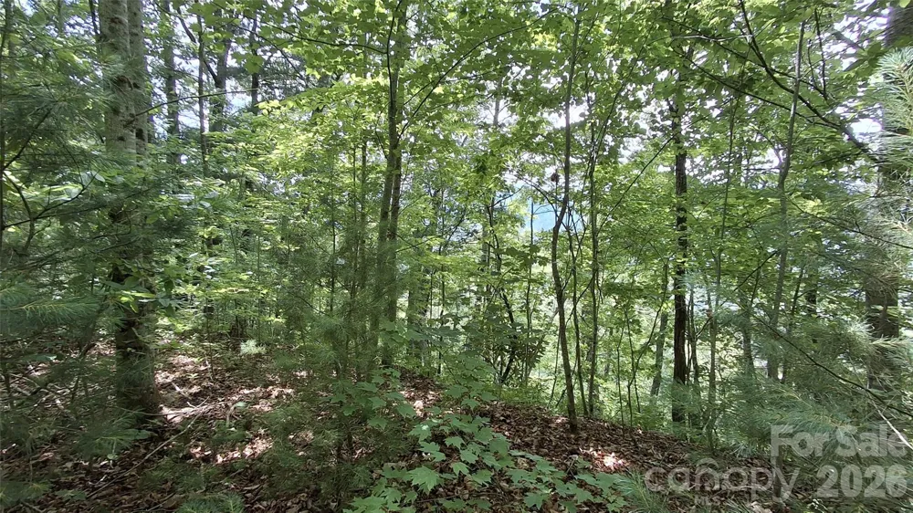 112 Kako Ridge #59 Sylva, NC 28779