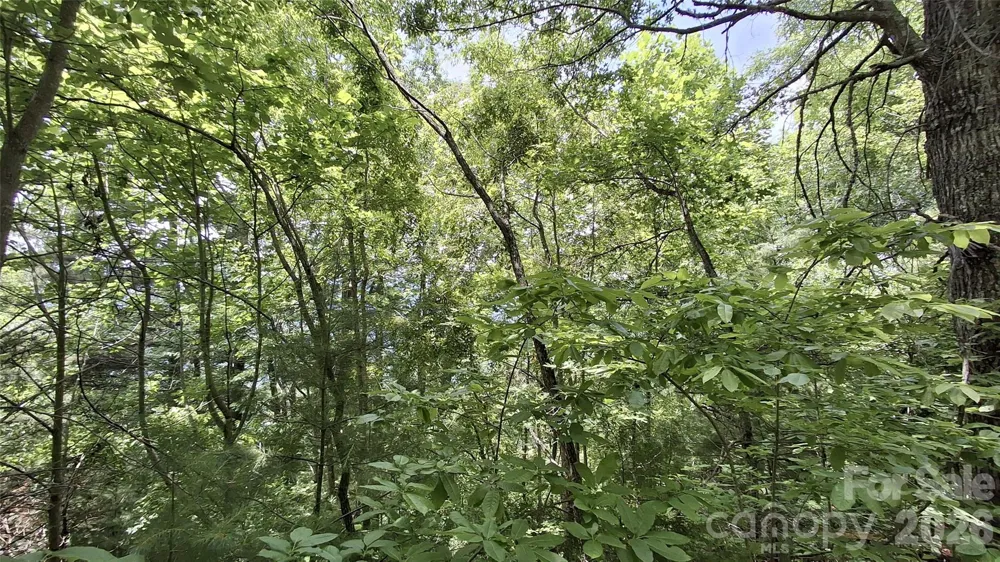 112 Kako Ridge #59 Sylva, NC 28779