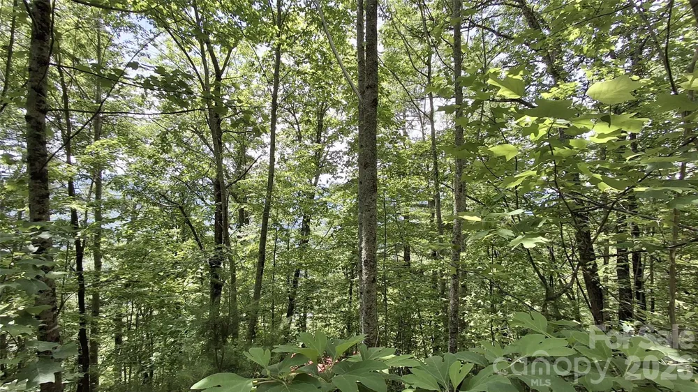 112 Kako Ridge #59 Sylva, NC 28779