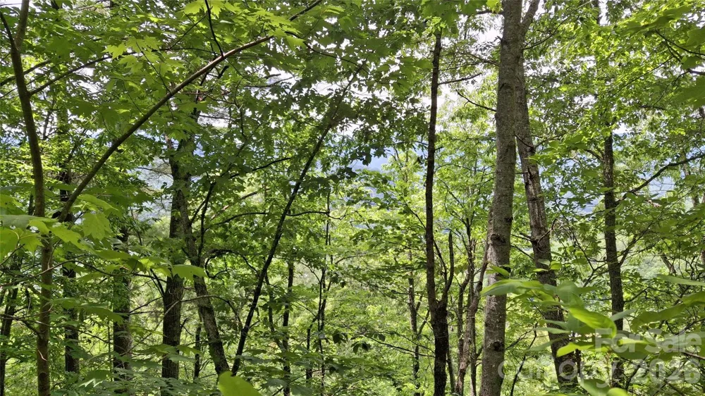 112 Kako Ridge #59 Sylva, NC 28779