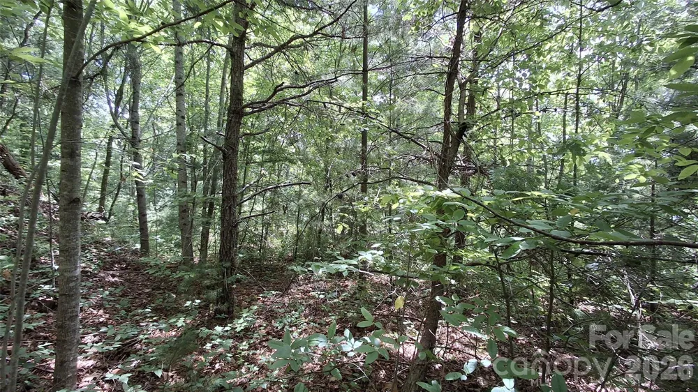 112 Kako Ridge #59 Sylva, NC 28779