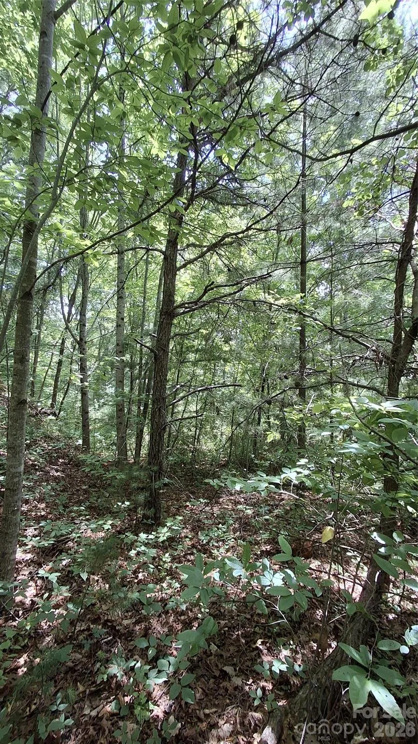112 Kako Ridge #59 Sylva, NC 28779