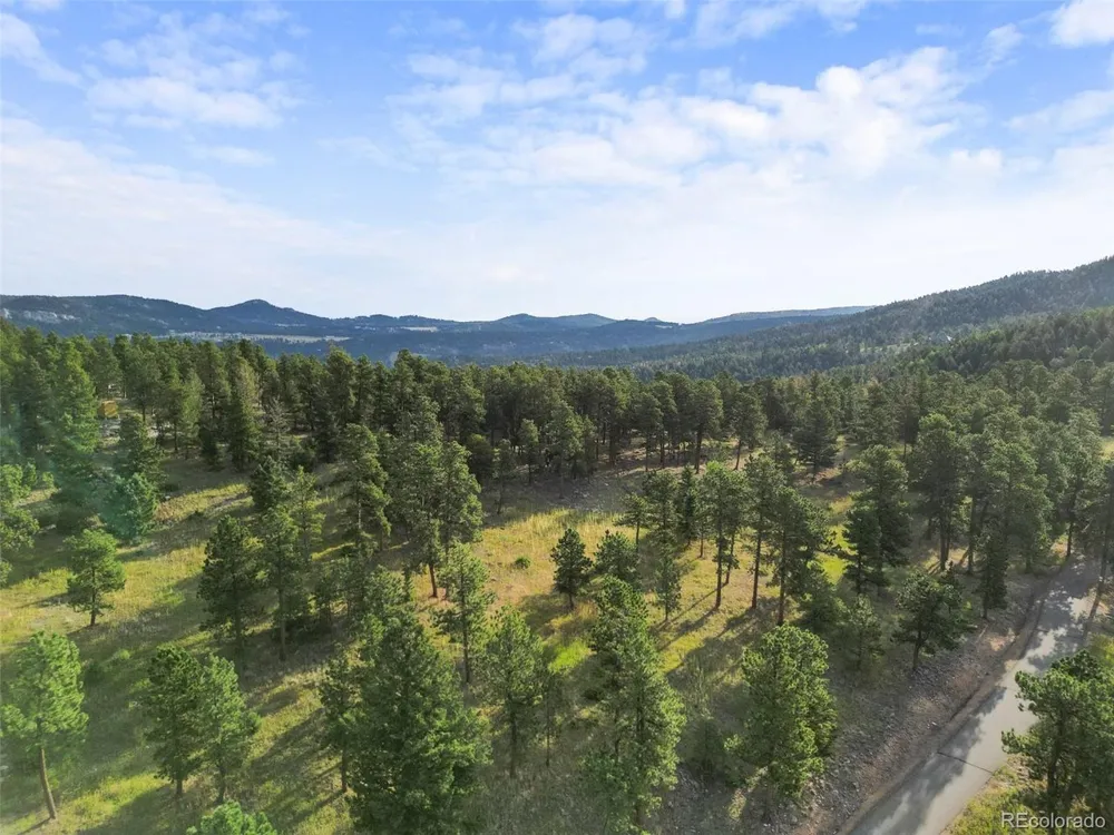 26545 Richmond Hill Road Conifer, CO 80433