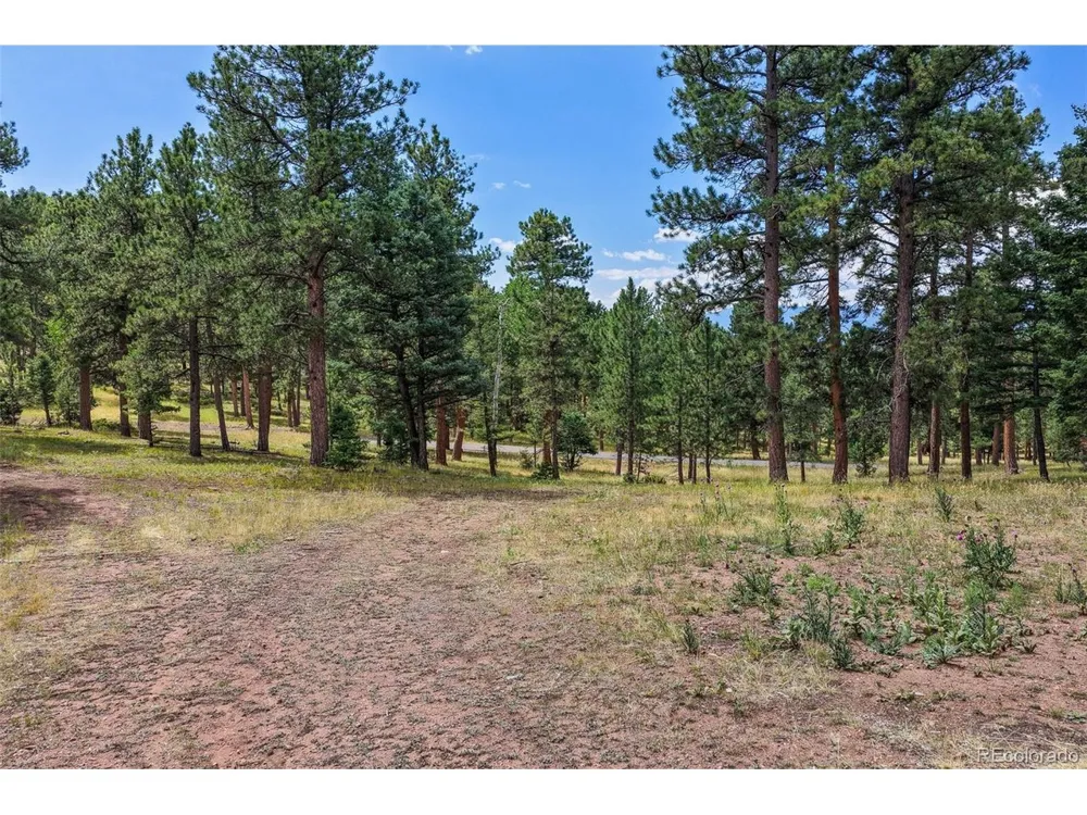 26545 Richmond Hill Road Conifer, CO 80433