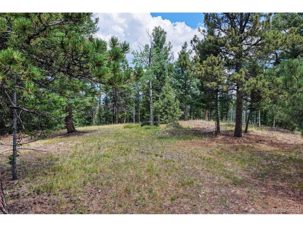 26545 Richmond Hill Road Conifer, CO 80433