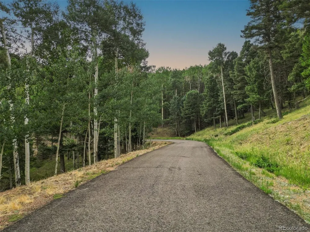 26545 Richmond Hill Road Conifer, CO 80433