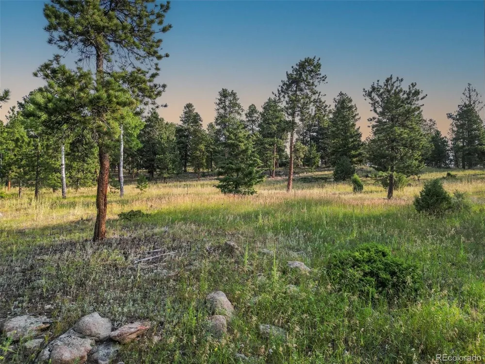 26545 Richmond Hill Road Conifer, CO 80433