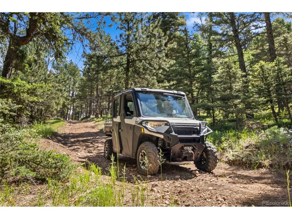 26545 Richmond Hill Road Conifer, CO 80433