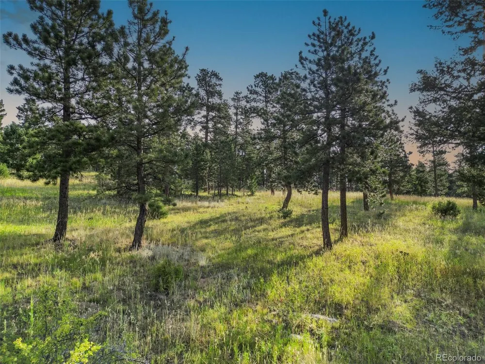 26545 Richmond Hill Road Conifer, CO 80433