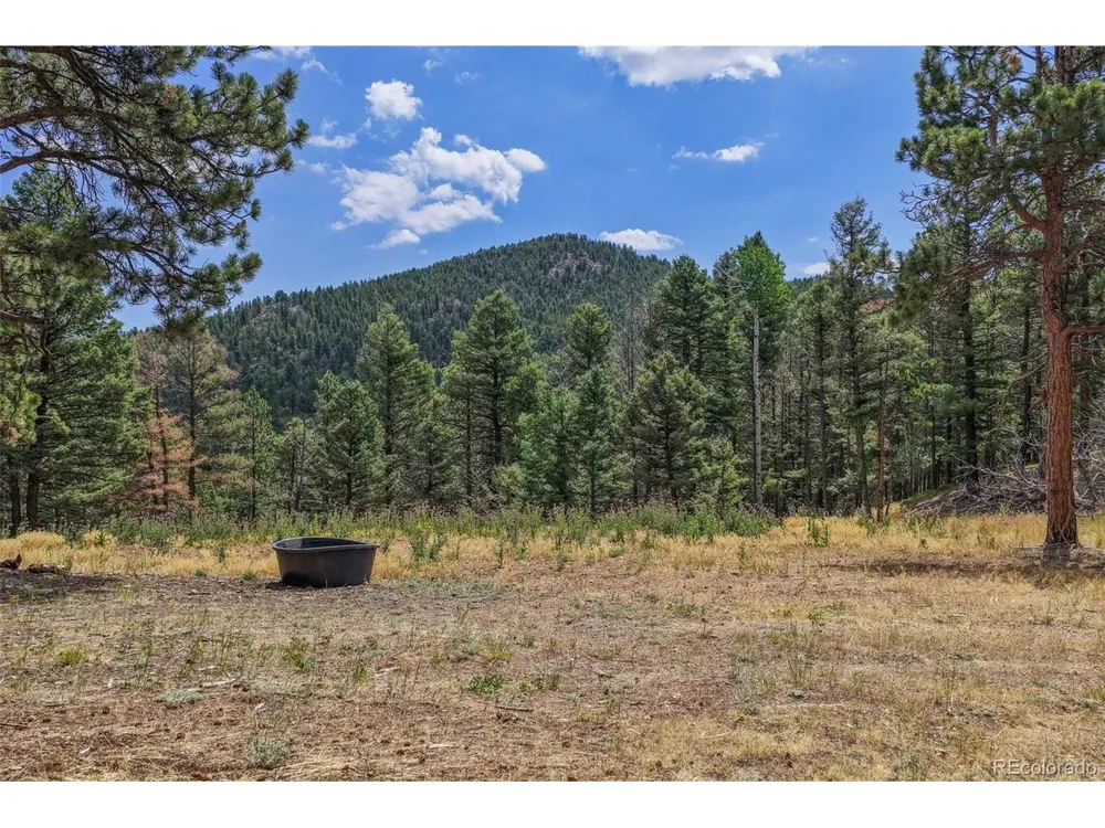 26545 Richmond Hill Road Conifer, CO 80433