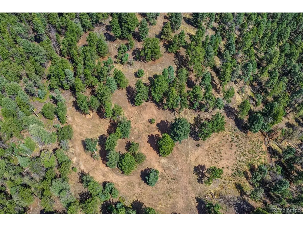 26545 Richmond Hill Road Conifer, CO 80433