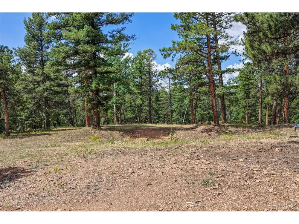 26545 Richmond Hill Road Conifer, CO 80433