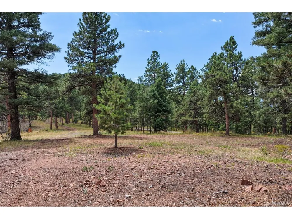 26545 Richmond Hill Road Conifer, CO 80433