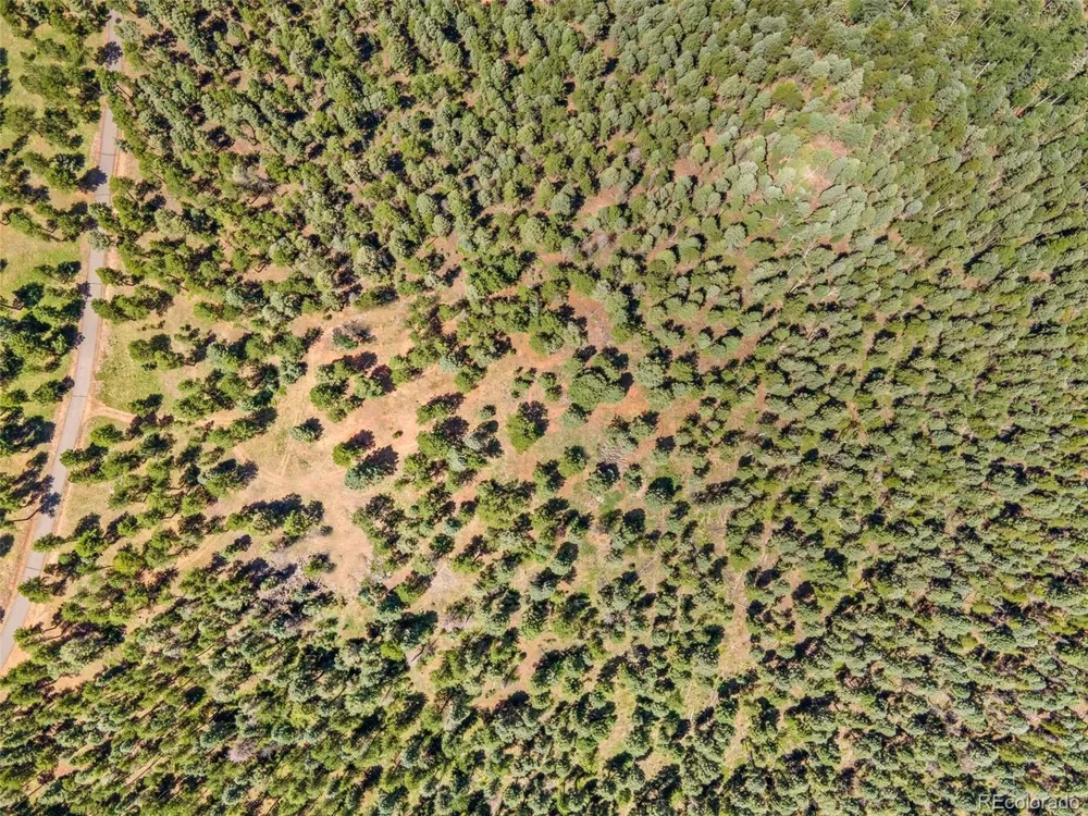 26545 Richmond Hill Road Conifer, CO 80433