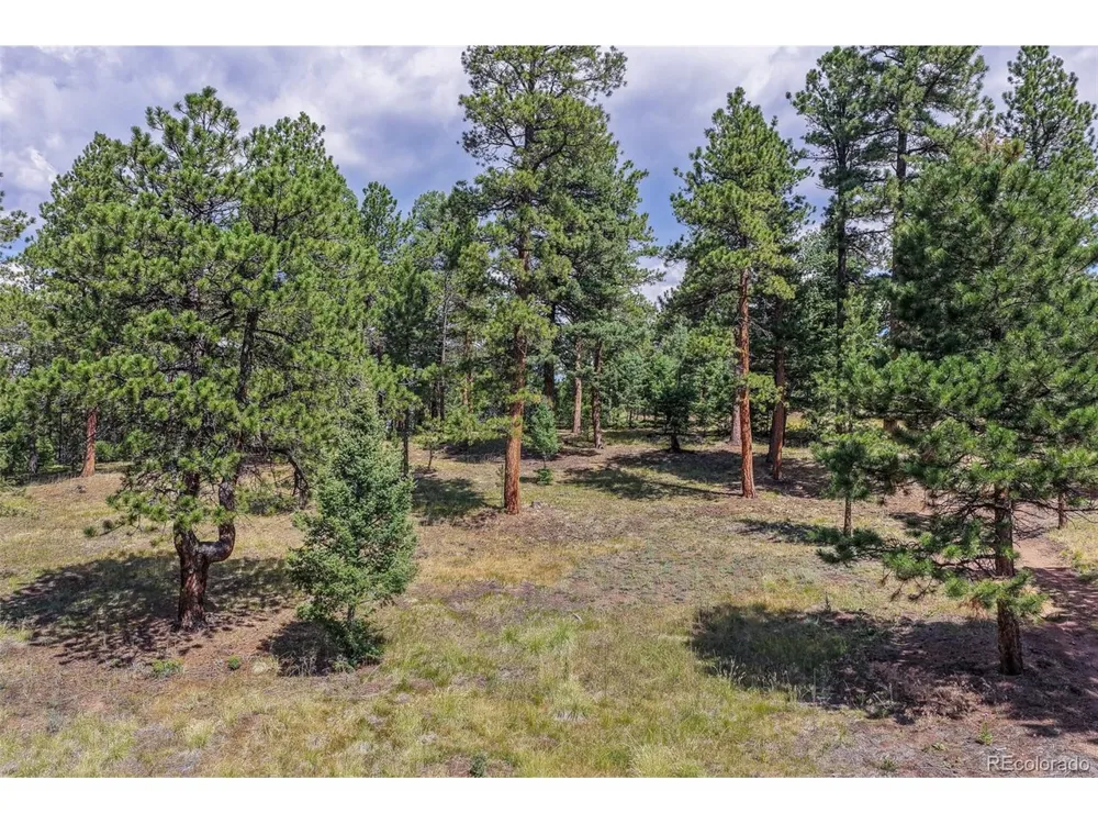 26545 Richmond Hill Road Conifer, CO 80433