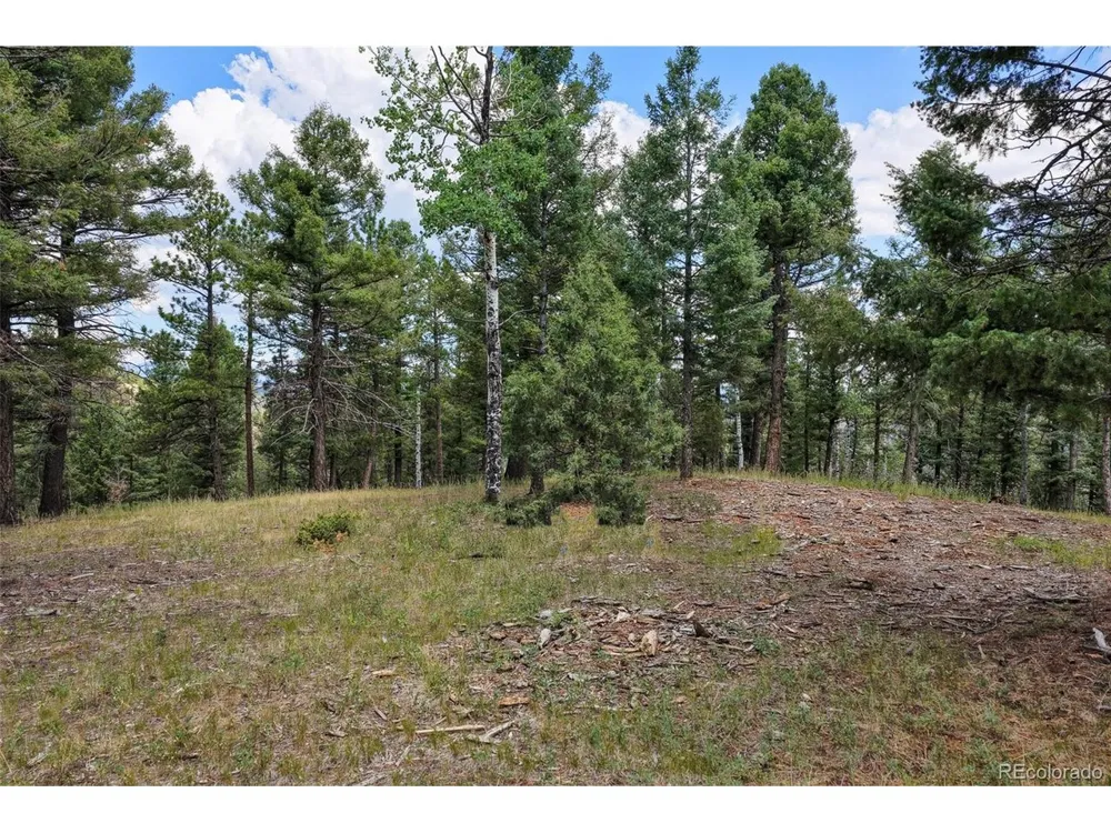 26545 Richmond Hill Road Conifer, CO 80433
