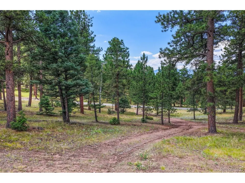26545 Richmond Hill Road Conifer, CO 80433