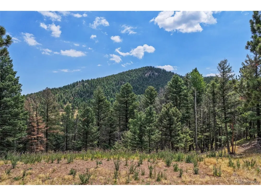 26545 Richmond Hill Road Conifer, CO 80433