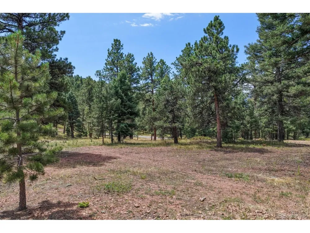 26545 Richmond Hill Road Conifer, CO 80433