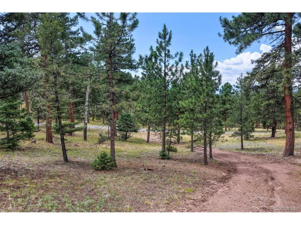 26545 Richmond Hill Road Conifer, CO 80433