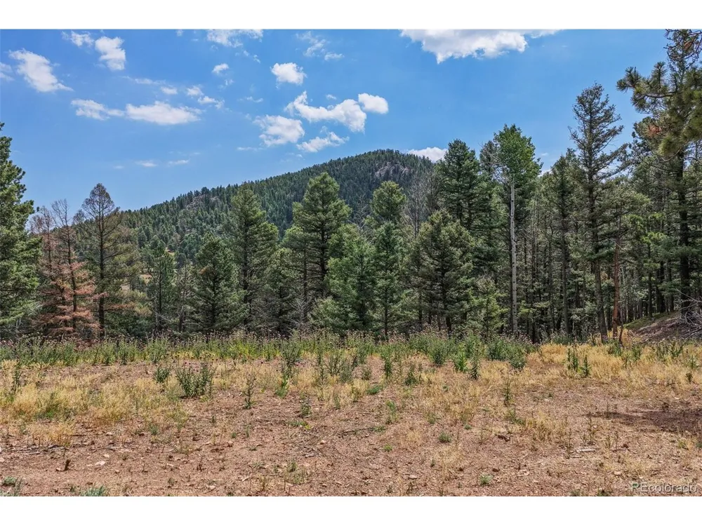 26545 Richmond Hill Road Conifer, CO 80433