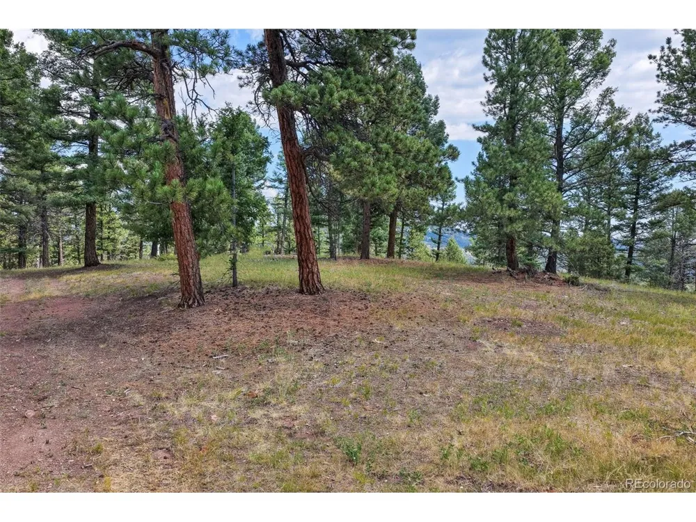 26545 Richmond Hill Road Conifer, CO 80433