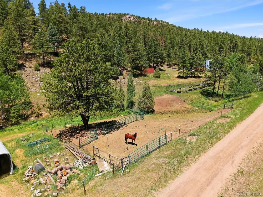 427 Brookside Drive Bailey, CO 80421