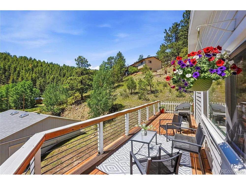 427 Brookside Drive Bailey, CO 80421