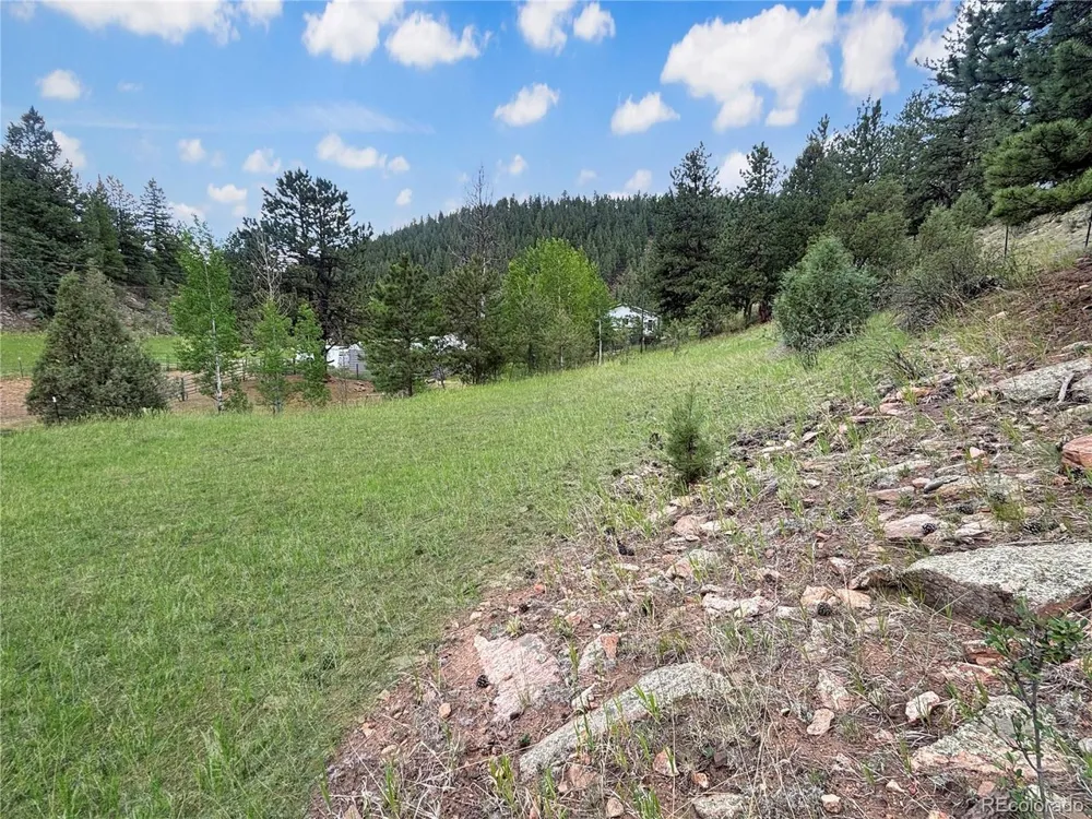427 Brookside Drive Bailey, CO 80421