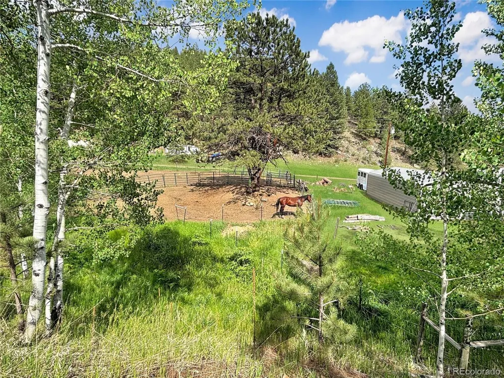 427 Brookside Drive Bailey, CO 80421
