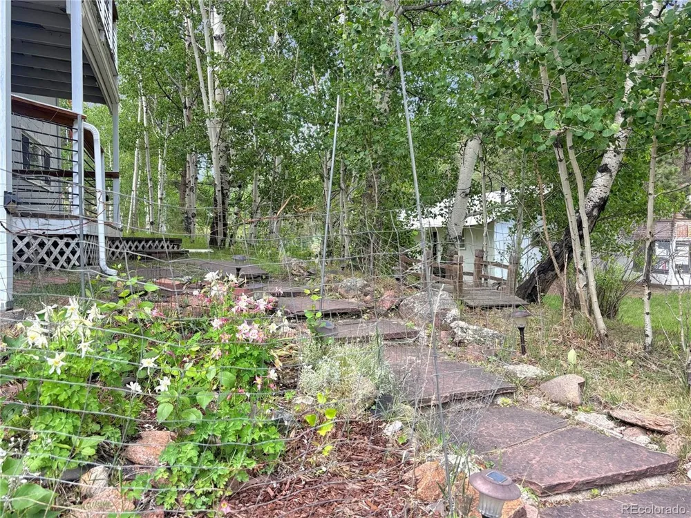 427 Brookside Drive Bailey, CO 80421