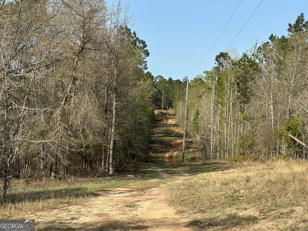 4253 Bath Edie RD Hephzibah, GA 30815