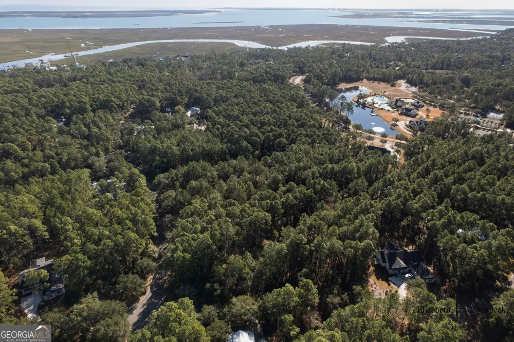 V/L 238 Lateral Buoy LN St. Marys, GA 31558