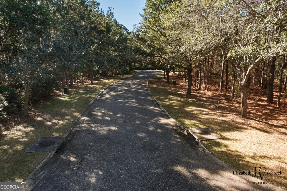 V/L 238 Lateral Buoy LN St. Marys, GA 31558