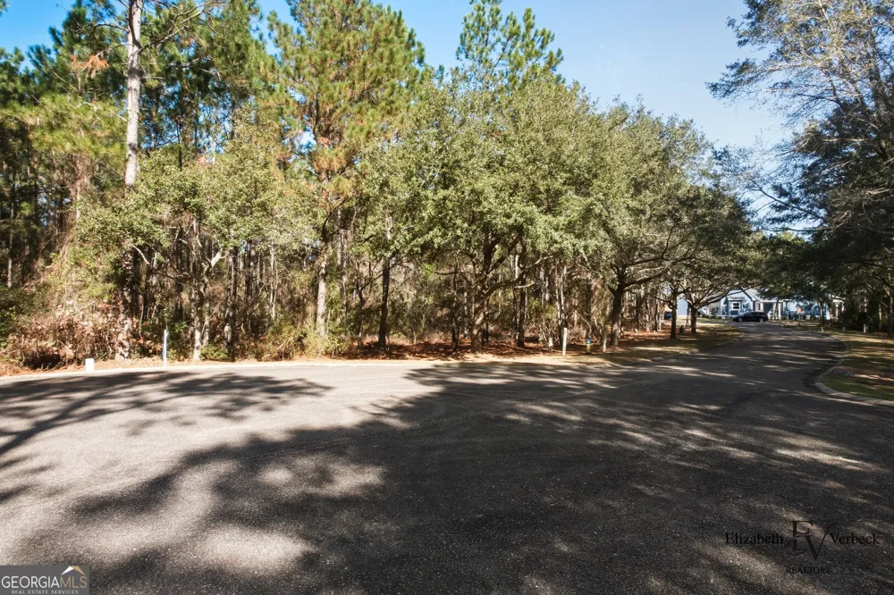 V/L 238 Lateral Buoy LN St. Marys, GA 31558
