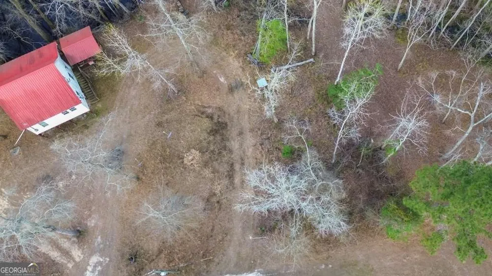 5230 Coleman Bridge SPUR Cobbtown, GA 30420