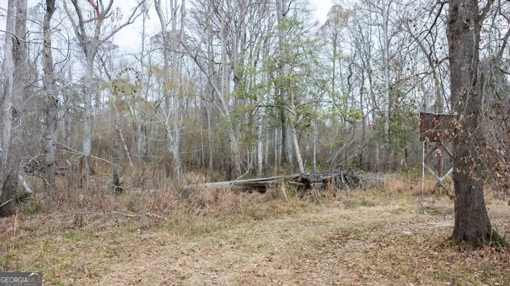 5230 Coleman Bridge SPUR Cobbtown, GA 30420