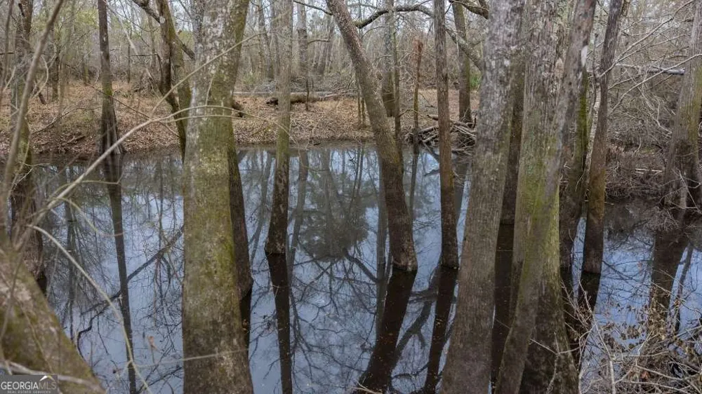 5230 Coleman Bridge SPUR Cobbtown, GA 30420