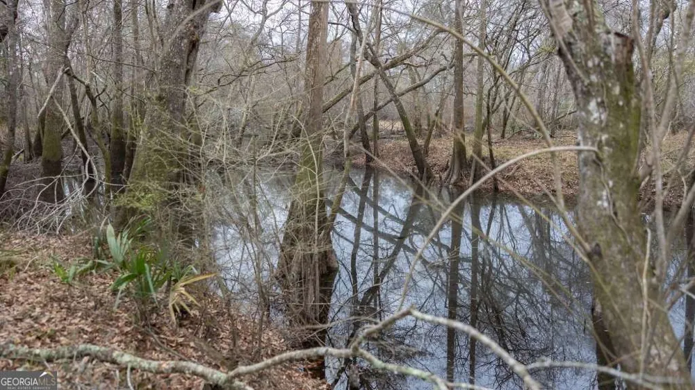5230 Coleman Bridge SPUR Cobbtown, GA 30420